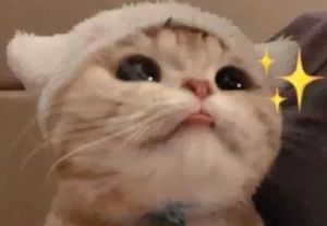 用户评价
